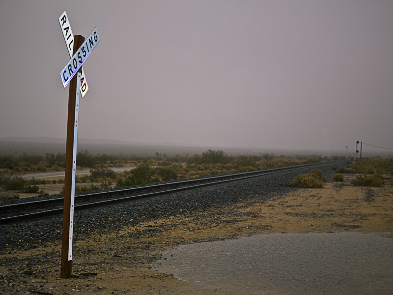 Mojave Desert in the rain