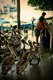 Pelicans watching fisherman, Santa Cruz Island, Galapagos Islands 