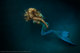 Underwater with Kristina Sherk VI 