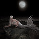 Silver Tongued Evil Mermaid 