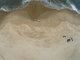 Shoreline Aerial; Virginia Beach at 78th Street 