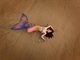 Mermaid on the beach at sunrise, Virginia Beach, VA 