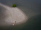 Aerial of a Mermaid, Lynnhaven Inlet, Virginia Beach 