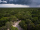 Jungle surrounding, Dos Ojos Cenote 