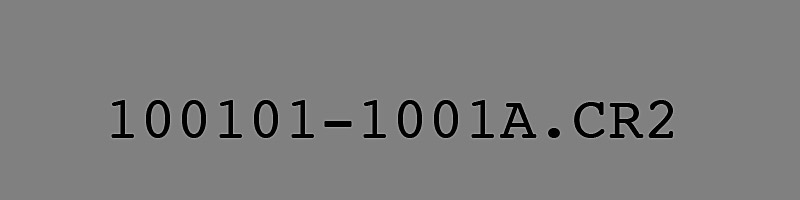 100101-1001; A Beautiful Number