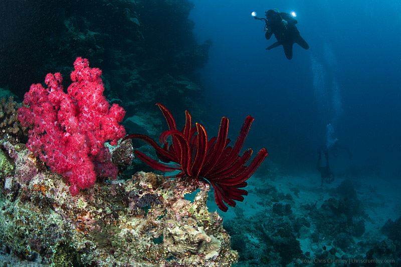 Australia - Ribbon Reef #3 on Great Barrier Reef