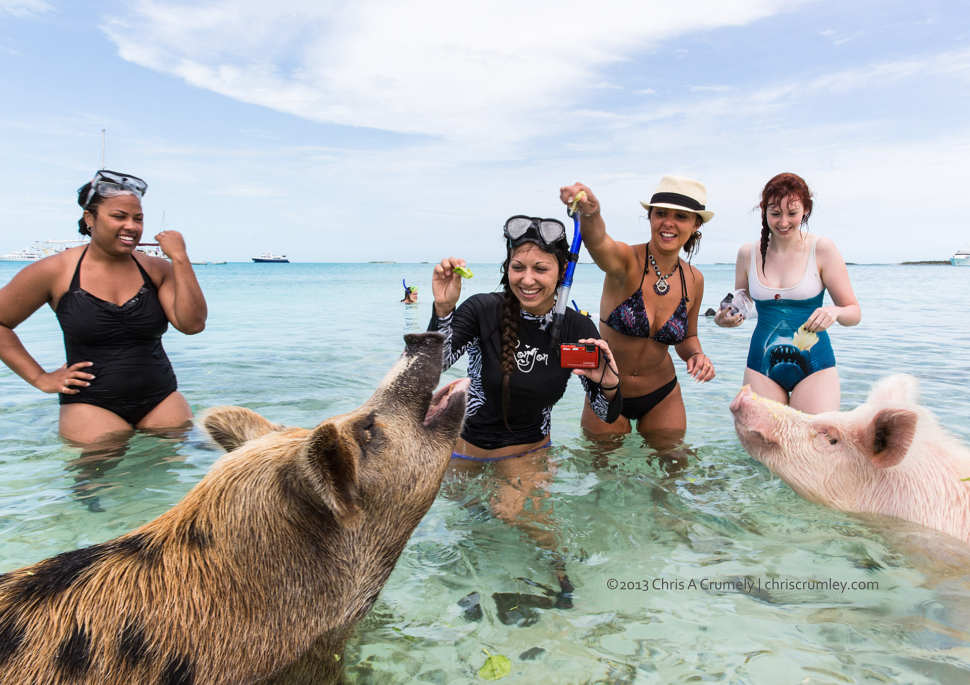 Bay of Pigs - Exuma Cays - Bahamas Islands