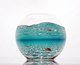 Fishbowl/Underwater Scene Series - Seastar 